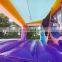 Inflatable Dazzling Palace Bounce House Jump Castles Combo For Children