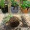 Trendy Decor Garden Artificial Stand Manufacturer Wholesale Flower Pots Planters