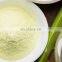 Pure and Natural Organic Aloe Vera Leaves Powder/natural healthy aloe vera powder from Vietnam