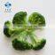 2020 BRC Certified IQF Bulk Frozen Broccoli with Competitive Price