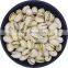 baklava pistachio pistachios lieu pistachios chocolate for snacks and bakery