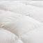 100% Cotton White Fabric 80% White Goose Down Bedding Comforter