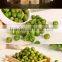 delicious original taste green peas snack food