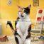 Wood pellet for cat litter