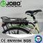 City Bike Lithium Electric Bike With Basket