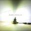 CREE XHP 50 80W 10000LM H10 LED headlight