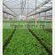 Cheap 200 micron uv resistant plastic film greenhouse