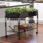 Metal Iron Flower Pot Stand by Kinlife with 33 years exprience