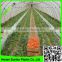 Suntex 2016 hot sale ldpe greenhouse film /plastic film for tomato covers