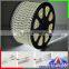 110v 220v LED Rope Strip
