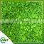 High Quality Frozen Iqf Greenbell Pepper Sliced Diced