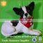 Hi-Q Custom Personalized Ornaments CHIHUAHUA Resin Dog Personalized Christmas Tree