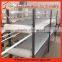  china best selling professional egg quail cage