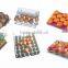 HGHY paper cup holder machine molded fiber packaging production line