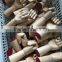 DL wooden hand natural wood hand display wooden hand