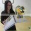 new advertisement product advertising LCD mirror display