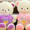 Lovely Cartoon Birthday Present Beige White Purple And Pink Loving Heart Plush Teddy Bear Toy Doll