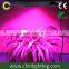 2016 High quality led grow light 14W LED plant grow customized color light led grow
