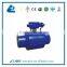 Welded Cast Iron Ball Valve