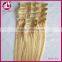 High Quality Wholesale 100% Unrprocessed Virgin hair straight Clip In Hair Extensions
