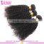 2016 Hot Sale Full Cuticle 4c Afro Kinky Curly Human Hair Weave, Mongolian Kinky Curly Hair