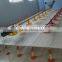 Chicken plastic slat floor/poultry farm flooring