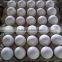 Fresh White eggs for sale from india