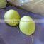 2015 fresh shandong pear supplying in china