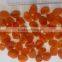 2015 new cro sweet dried apricots for sale