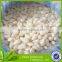 fresh white garlic in brine