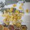Automatic Puffed Snack Extrusion Breakfast Cereal Making Machine