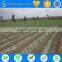 plant irrigation system for corn irrigation, sugarcane and so on