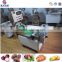 Multifunctional lettuce slicer /onion ginger slicing machine