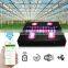 Noah dimmable adjustable led grow light full spectrum cob, Auto WiFi led grow light ,