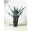 SAS201609 Indoor Artificial Foliage Plant,Green Plant Bonsai