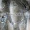 import seafood of Asian Sea Bass