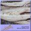 Sea Frozen Precooked 7.5kg Packed Bonito Loin