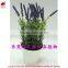 Wholesale potted succulent wedding decor mini succulent artificial lavender