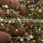 Bling bling 16 cuts rhinestones non hotfix flatback crystal AB for nails and clothing
