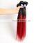 Factory wholesale price 7A grade Ombre Hair 1b/burg Silky Straight Peruvian Human Hair