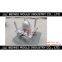 Plastic Injection Motorcycle Helmet Mould
