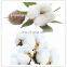 Price Mini Cotton Machinery Gin Cotton Seed Separator Machine