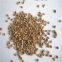 High quality Walnut shell sand / crushed walnut shell 10# 20# in abrasive