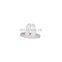JZ auto plastic accessories Fast Wire Seat auto clips and plastic fasteners