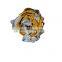 330D Chasis Wire Harness 283-2933