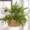 100% Eco-friendly Rattan Hanging Planter Pot multifunction Plant Holder Unique Wicker Flower Pot Holder Decoration Wholesale
