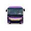 12m 51+1 Seats Diesel Manual Tour Coach Bus Automatic Luxury Passenger Bus Customized Pure Electric