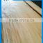 Factory natrual rotary cut pencil cedar veneer for plywood to India