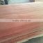 Grade A/B natural plywood plb face veneer