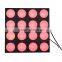 16pca 10watt 3in1rgb rainbow effect flightcase for led matrix 1610